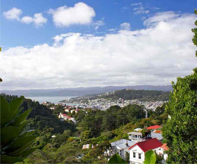 Wellington, the capital